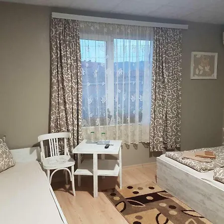 Tedi Live Guest house